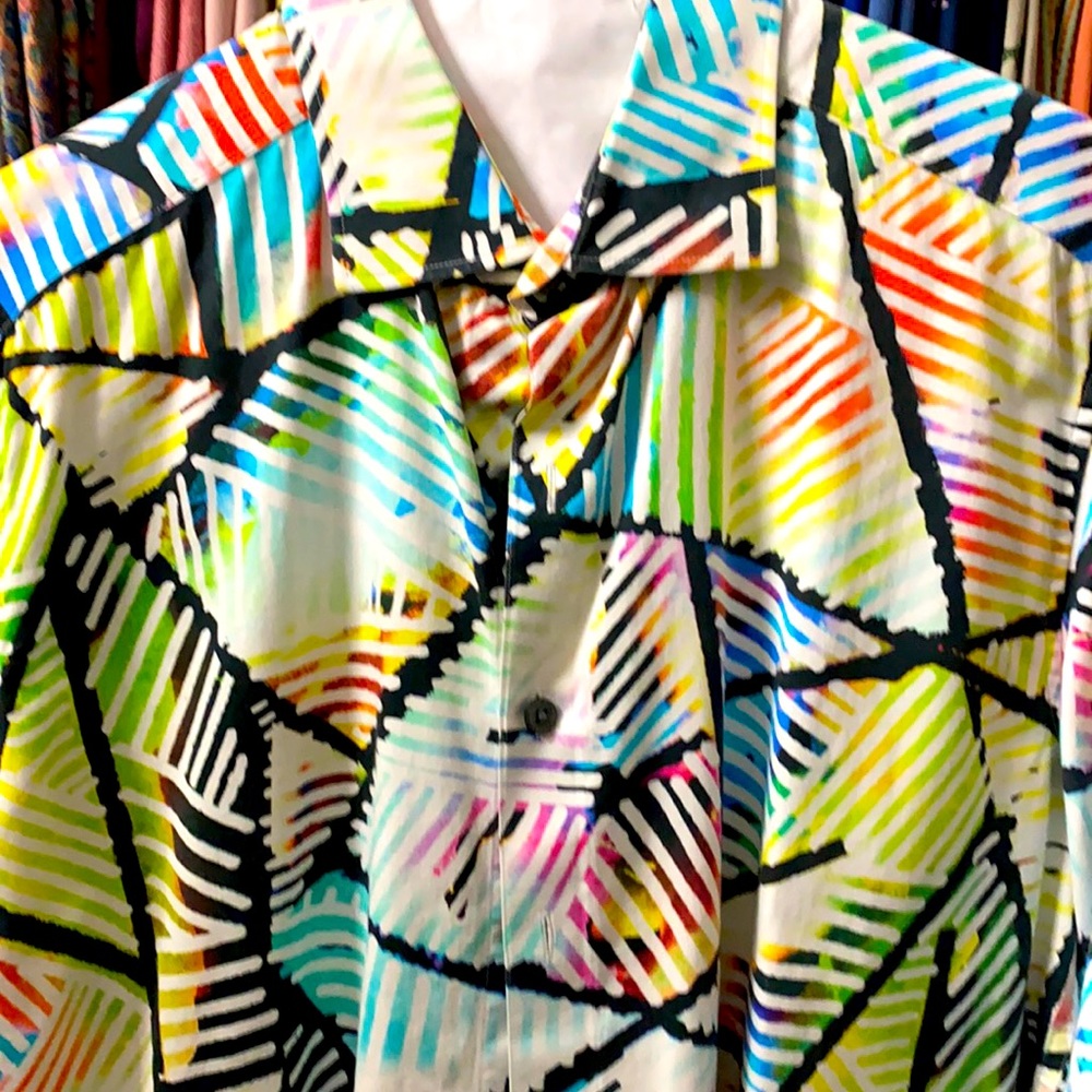 Robert Graham size large classic fit